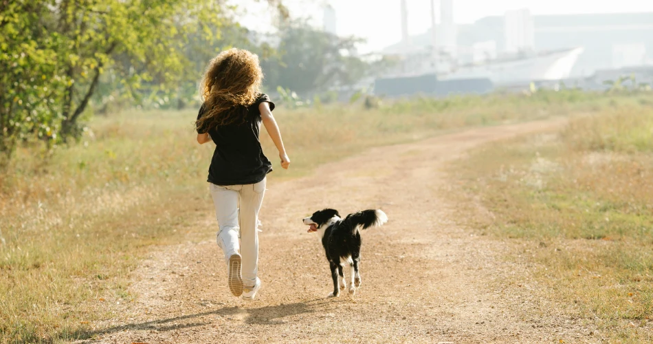 7 Must-Visit Dog Parks & Off-Leash Areas in Queens