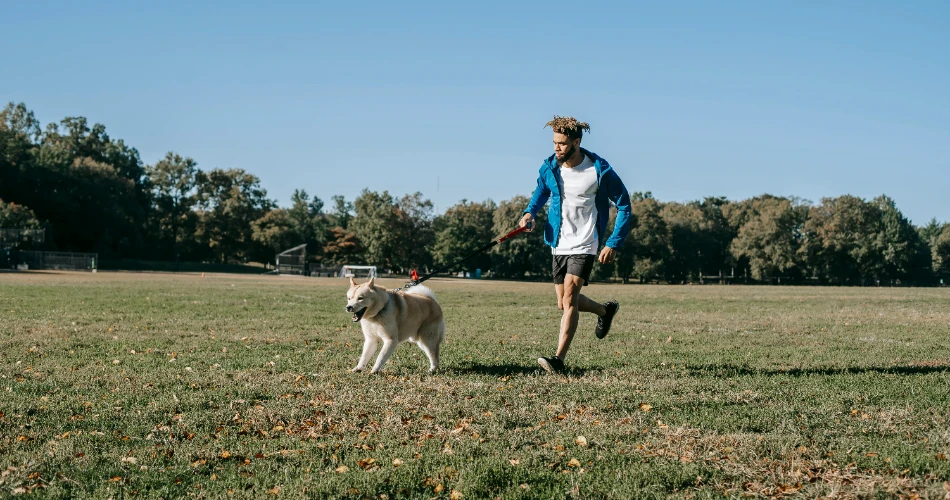 7 Must-Visit Dog Parks & Off-Leash Areas in Queens