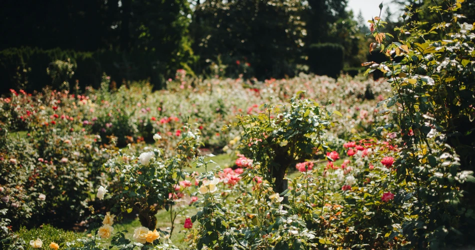 The 10 Best Things to Do in Queens, NY, USA