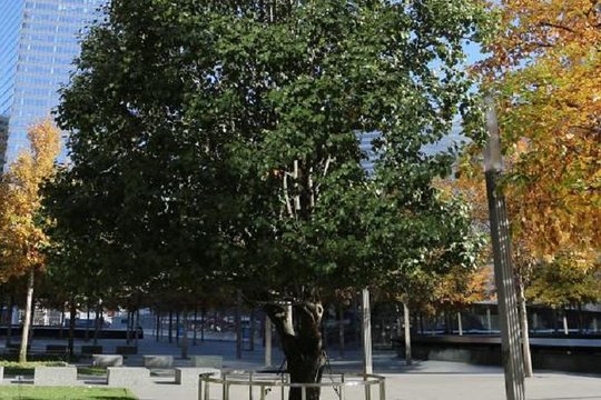Tour image 3