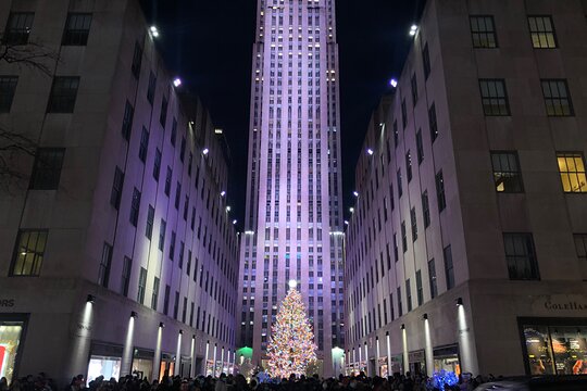 Tour image 1